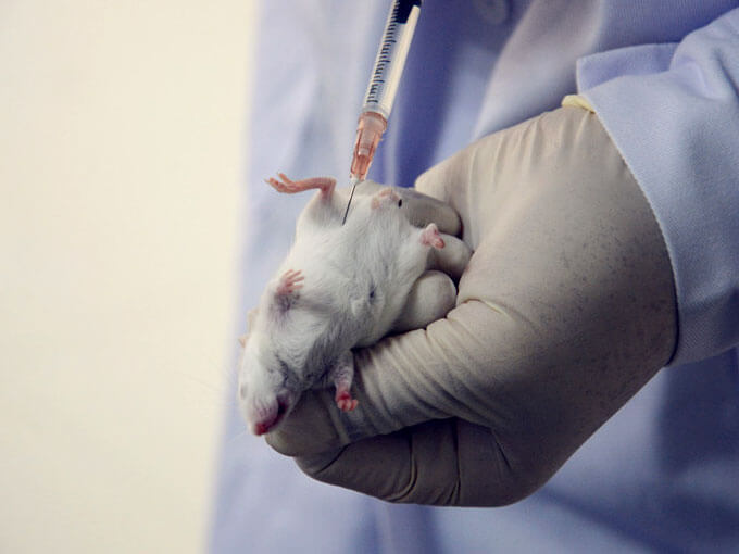 6901597987473311.jpg 6901597987473311.jpg